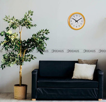 Zegar ścienny JVD NS8017.3